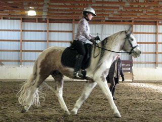 Dressage Photo