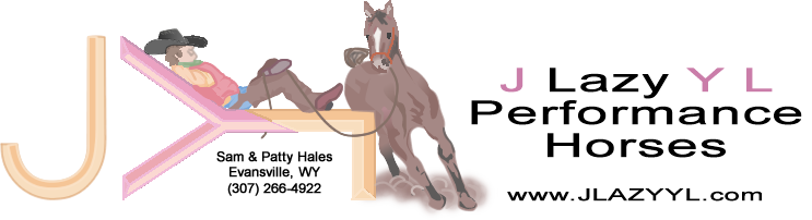 J Lazy YL Performance Horses