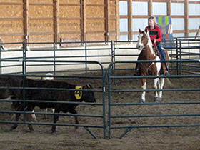 Penning Image